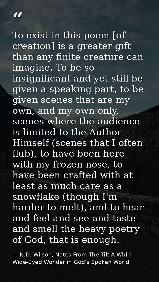 To exist in this poem [of creation] is a greater gift than any finite creature can imagine. To be so insignificant and y — N.D. Wilson, Notes From The Tilt-A-Whirl: Wide-Eyed Wonder in God's Spoken World