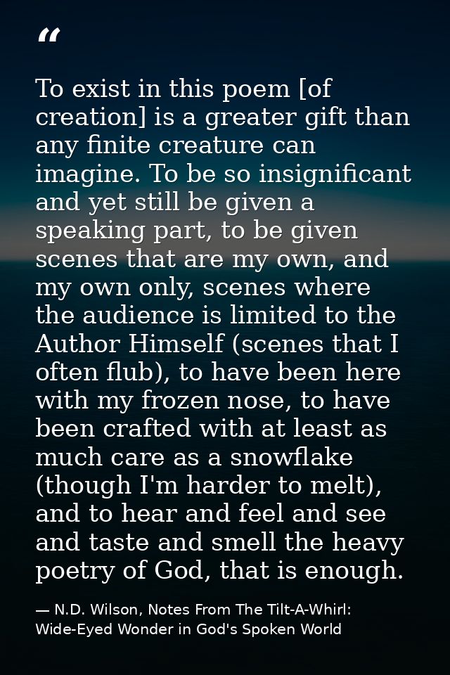 To exist in this poem [of creation] is a greater gift than any finite creature can imagine. To be so insignificant and y — N.D. Wilson, Notes From The Tilt-A-Whirl: Wide-Eyed Wonder in God's Spoken World