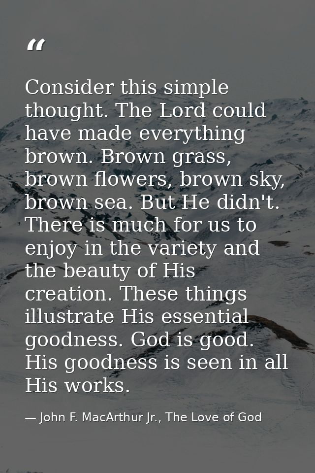 Consider this simple thought. The Lord could have made everything brown. Brown grass, brown flowers, brown sky, brown se — John F. MacArthur Jr., The Love of God