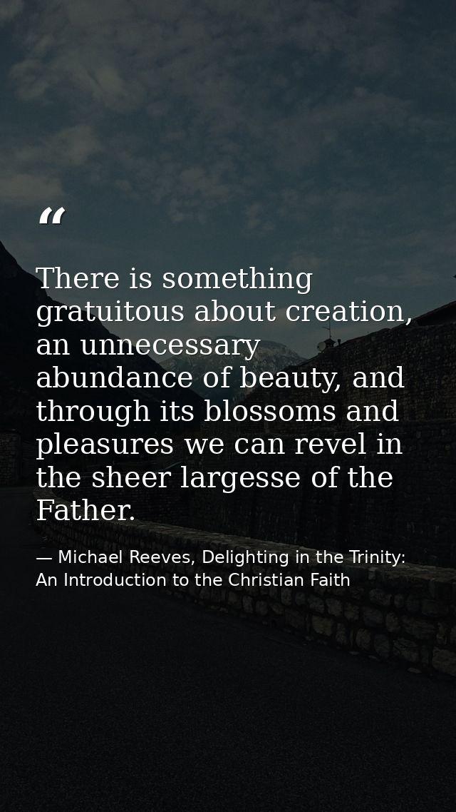 There is something gratuitous about creation, an unnecessary abundance of beauty, and through its blossoms and pleasures — Michael Reeves, Delighting in the Trinity: An Introduction to the Christian Faith