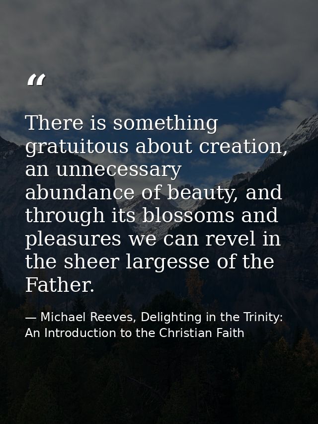 There is something gratuitous about creation, an unnecessary abundance of beauty, and through its blossoms and pleasures — Michael Reeves, Delighting in the Trinity: An Introduction to the Christian Faith