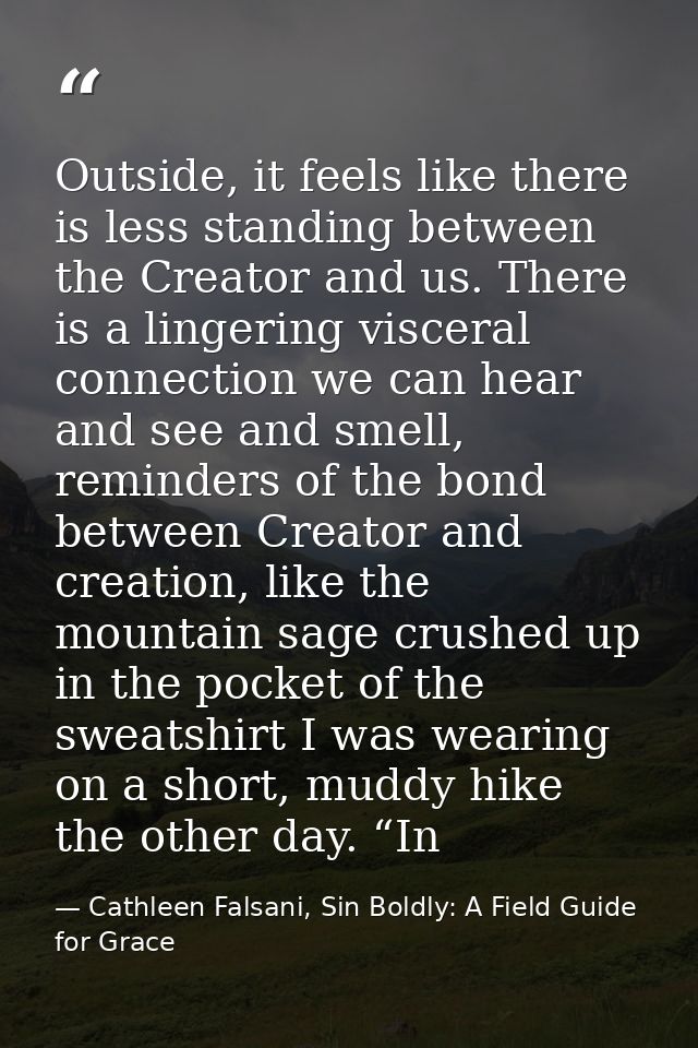 Outside, it feels like there is less standing between the Creator and us. There is a lingering visceral connection we ca — Cathleen Falsani, Sin Boldly: A Field Guide for Grace
