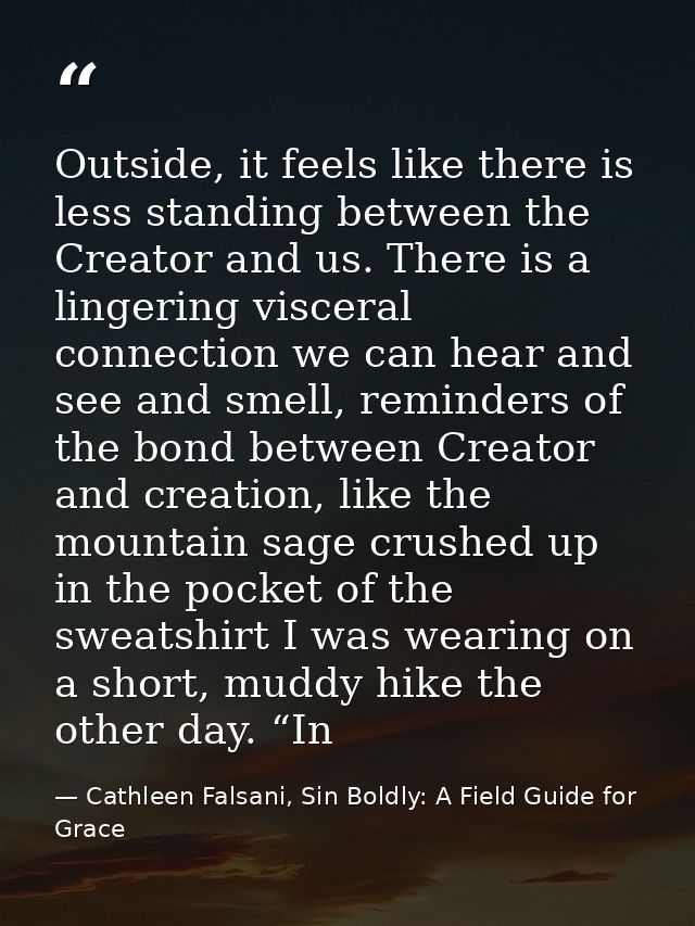 Outside, it feels like there is less standing between the Creator and us. There is a lingering visceral connection we ca — Cathleen Falsani, Sin Boldly: A Field Guide for Grace