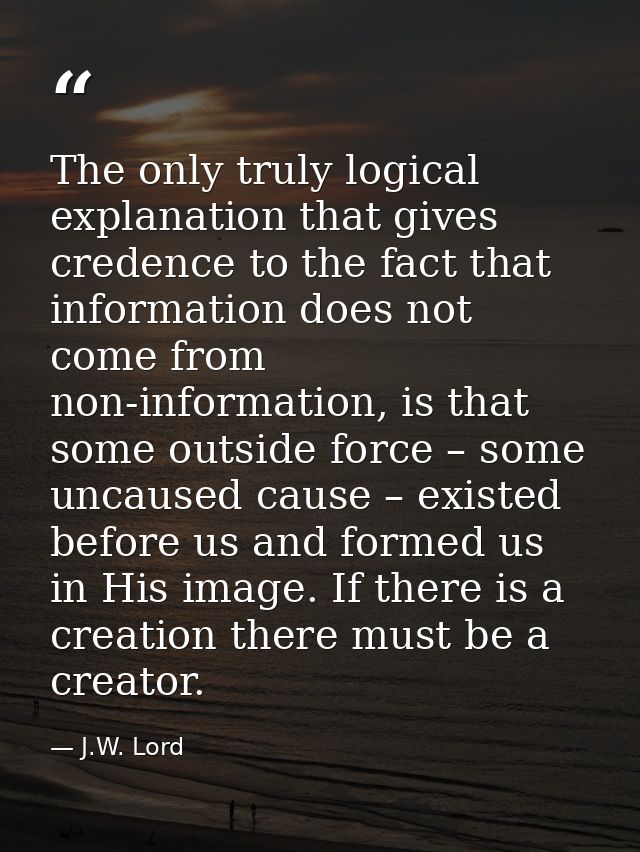 The only truly logical explanation that gives credence to the fact that information does not come from non-information,  — J.W. Lord