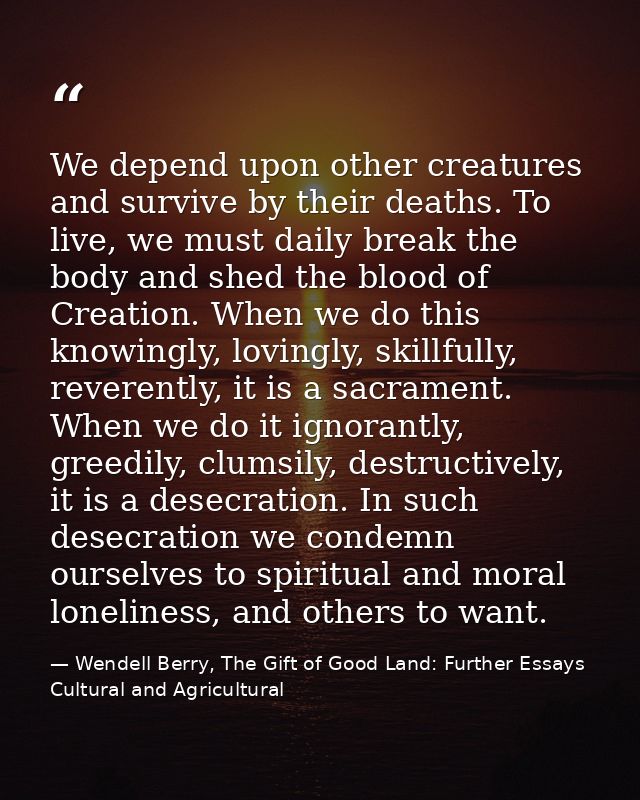 We depend upon other creatures and survive by their deaths. To live, we must daily break the body and shed the blood of  — Wendell Berry, The Gift of Good Land: Further Essays Cultural and Agricultural