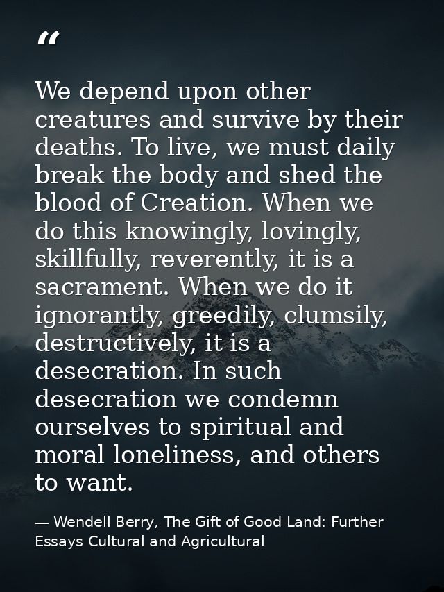 We depend upon other creatures and survive by their deaths. To live, we must daily break the body and shed the blood of  — Wendell Berry, The Gift of Good Land: Further Essays Cultural and Agricultural