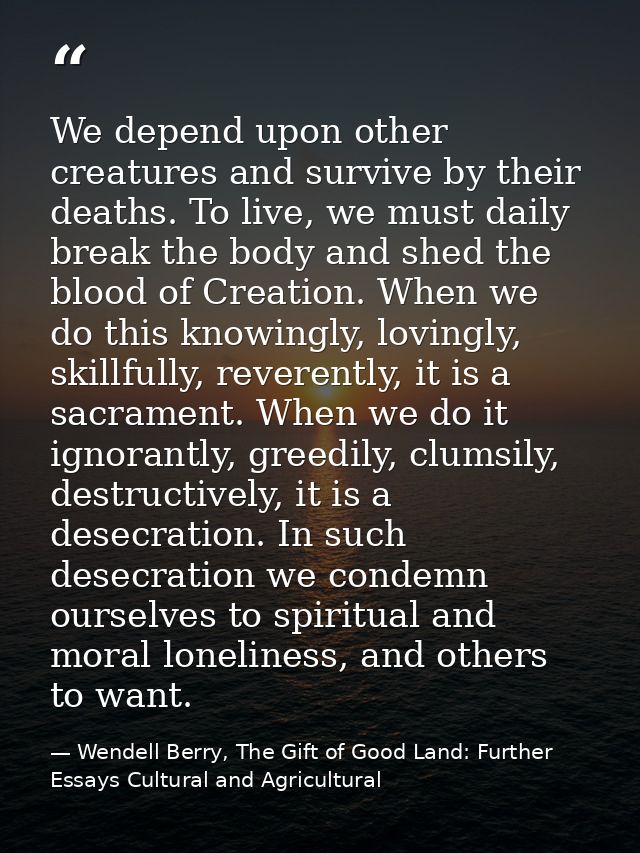 We depend upon other creatures and survive by their deaths. To live, we must daily break the body and shed the blood of  — Wendell Berry, The Gift of Good Land: Further Essays Cultural and Agricultural