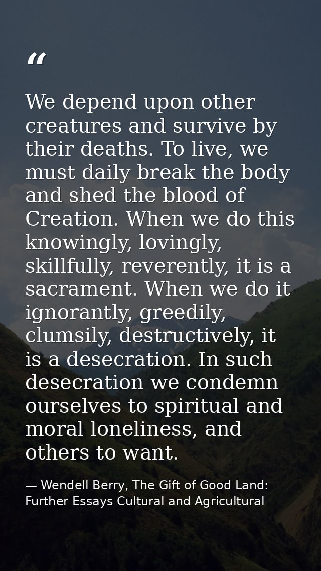 We depend upon other creatures and survive by their deaths. To live, we must daily break the body and shed the blood of  — Wendell Berry, The Gift of Good Land: Further Essays Cultural and Agricultural