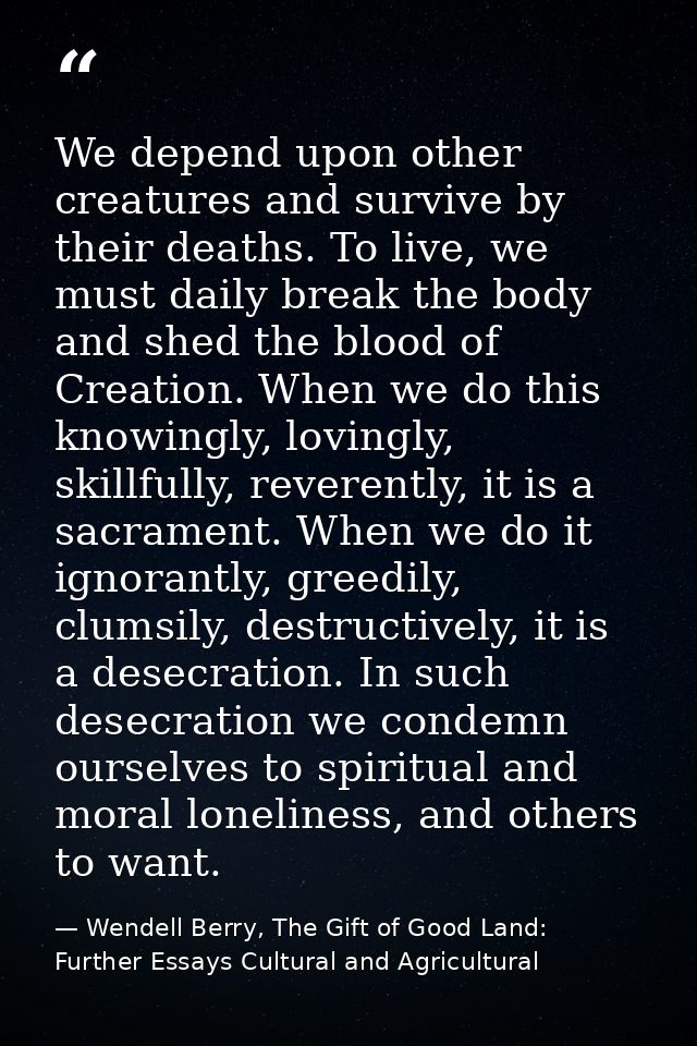 We depend upon other creatures and survive by their deaths. To live, we must daily break the body and shed the blood of  — Wendell Berry, The Gift of Good Land: Further Essays Cultural and Agricultural
