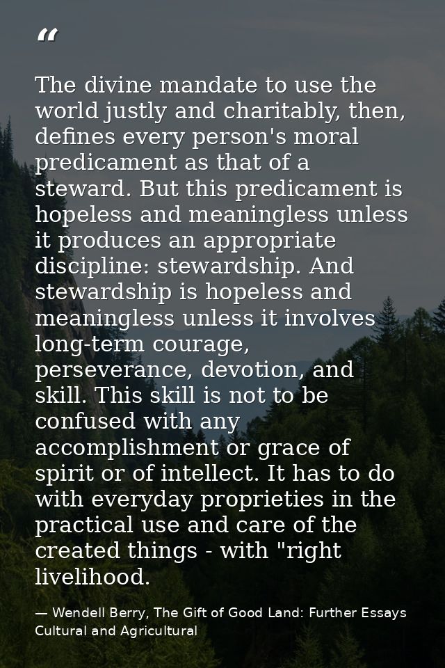 The divine mandate to use the world justly and charitably, then, defines every person's moral predicament as that of a s — Wendell Berry, The Gift of Good Land: Further Essays Cultural and Agricultural