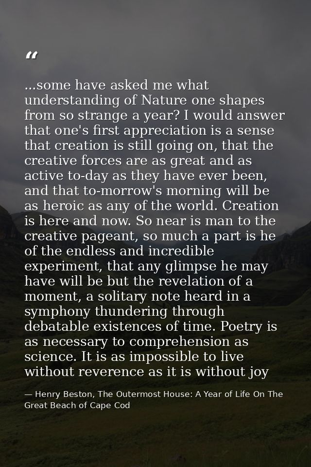 ...some have asked me what understanding of Nature one shapes from so strange a year? I would answer that one's first ap — Henry Beston, The Outermost House: A Year of Life On The Great Beach of Cape Cod
