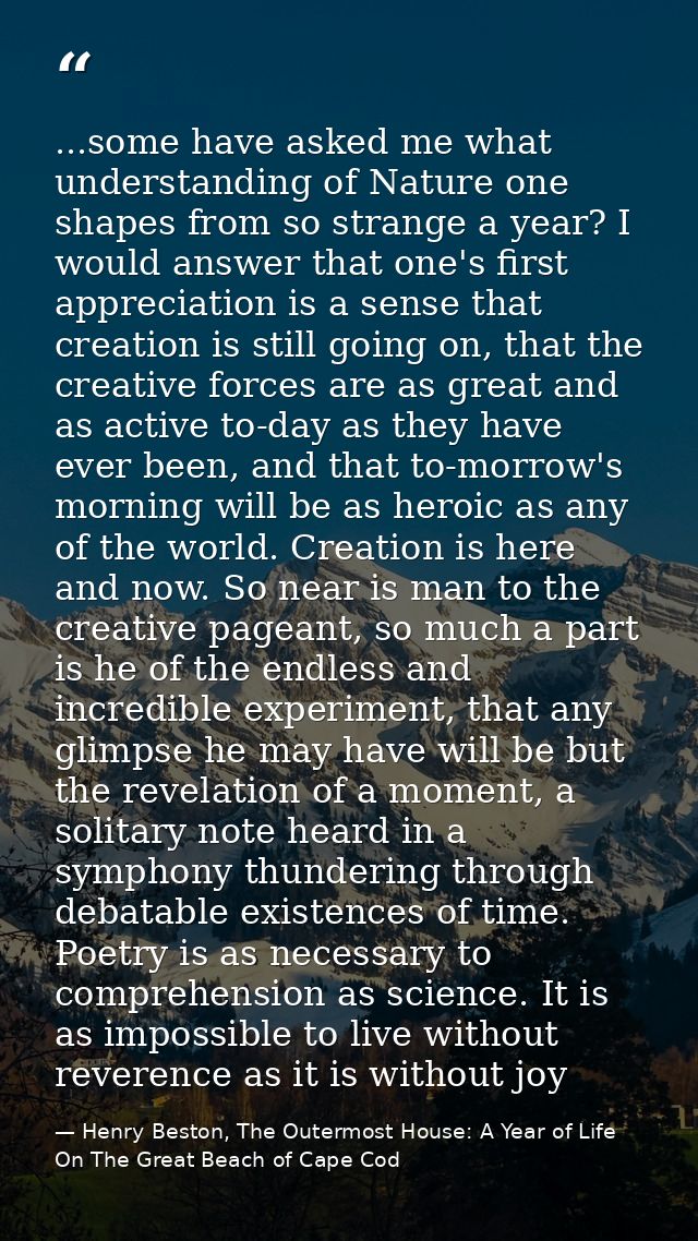 ...some have asked me what understanding of Nature one shapes from so strange a year? I would answer that one's first ap — Henry Beston, The Outermost House: A Year of Life On The Great Beach of Cape Cod