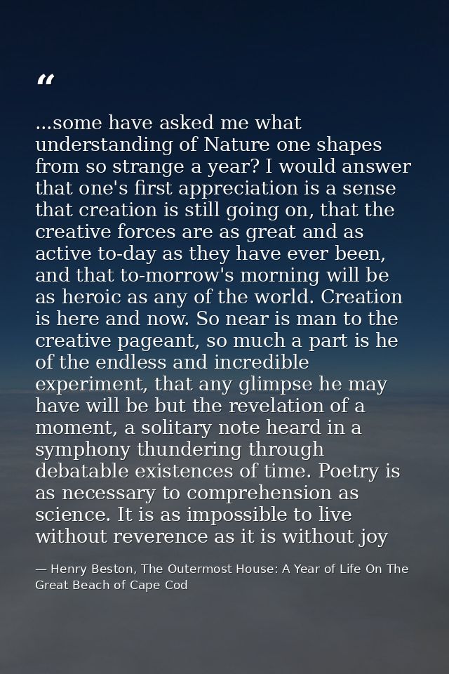 ...some have asked me what understanding of Nature one shapes from so strange a year? I would answer that one's first ap — Henry Beston, The Outermost House: A Year of Life On The Great Beach of Cape Cod