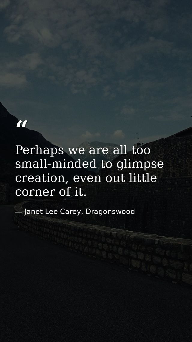 Perhaps we are all too small-minded to glimpse creation, even out little corner of it. — Janet Lee Carey, Dragonswood