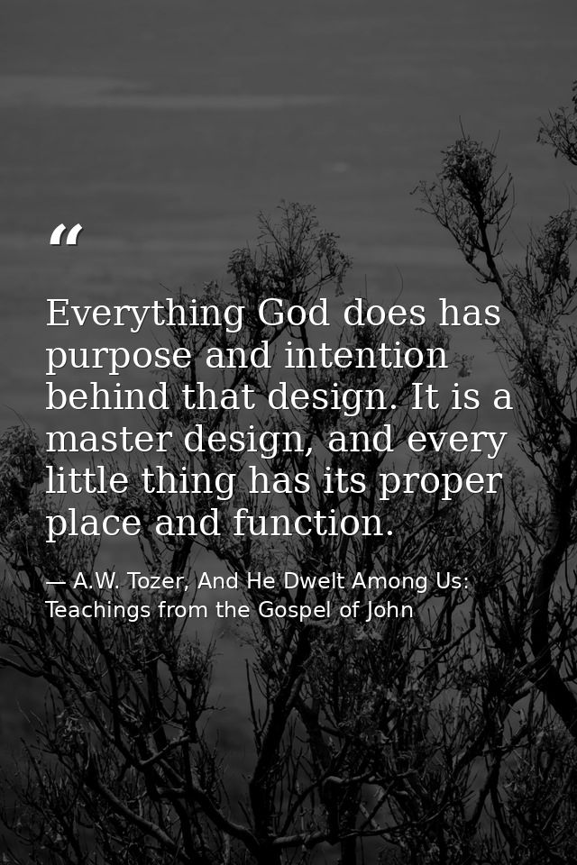 Everything God does has purpose and intention behind that design. It is a master design, and every little thing has its  — A.W. Tozer, And He Dwelt Among Us: Teachings from the Gospel of John