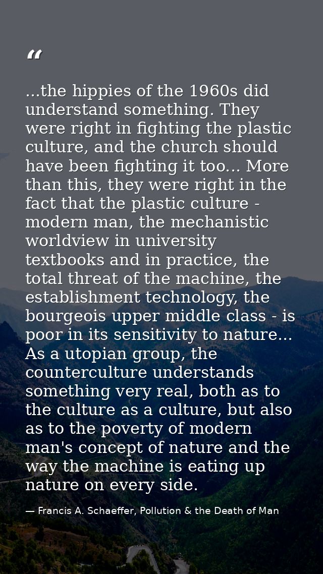 ...the hippies of the 1960s did understand something. They were right in fighting the plastic culture, and the church sh — Francis A. Schaeffer, Pollution & the Death of Man