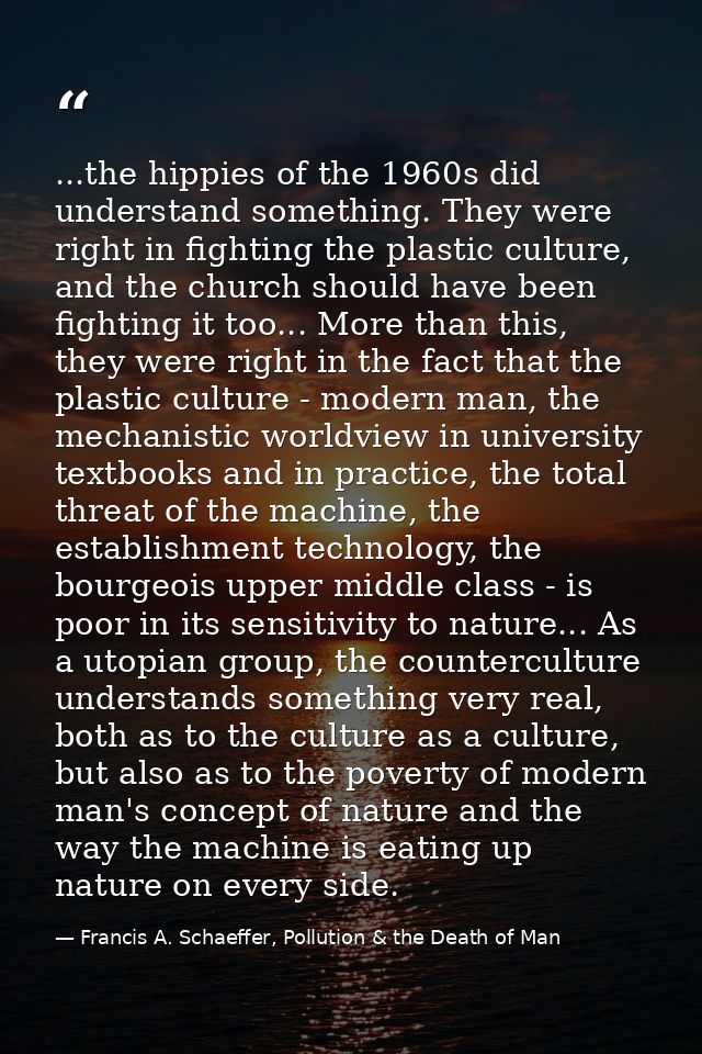 ...the hippies of the 1960s did understand something. They were right in fighting the plastic culture, and the church sh — Francis A. Schaeffer, Pollution & the Death of Man