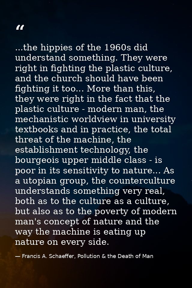 ...the hippies of the 1960s did understand something. They were right in fighting the plastic culture, and the church sh — Francis A. Schaeffer, Pollution & the Death of Man