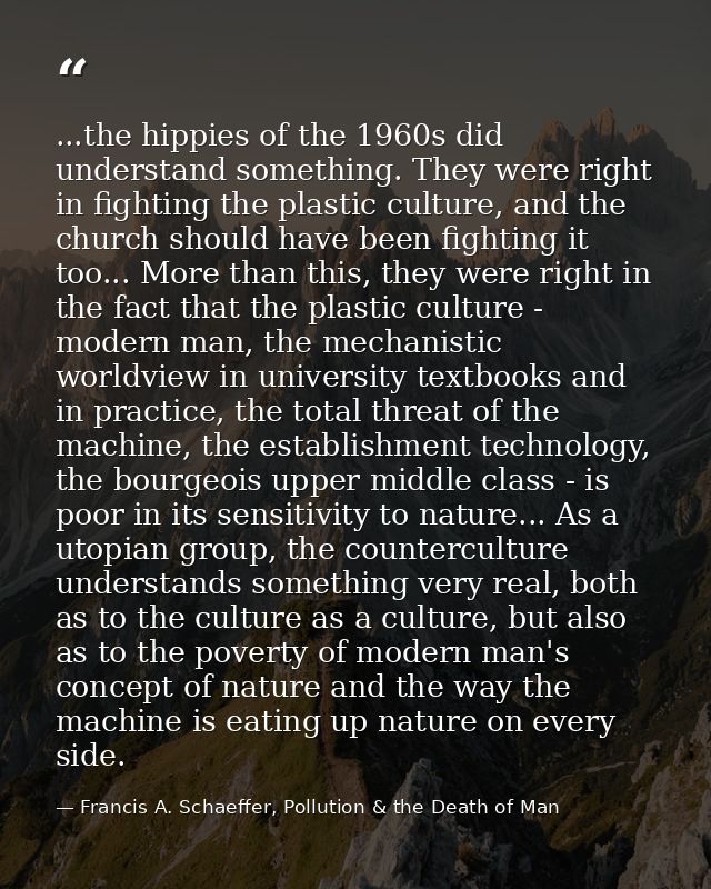 ...the hippies of the 1960s did understand something. They were right in fighting the plastic culture, and the church sh — Francis A. Schaeffer, Pollution & the Death of Man