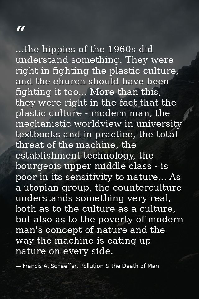...the hippies of the 1960s did understand something. They were right in fighting the plastic culture, and the church sh — Francis A. Schaeffer, Pollution & the Death of Man