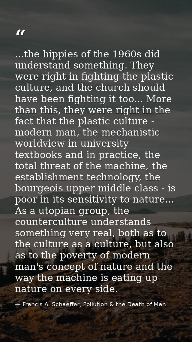 ...the hippies of the 1960s did understand something. They were right in fighting the plastic culture, and the church sh — Francis A. Schaeffer, Pollution & the Death of Man