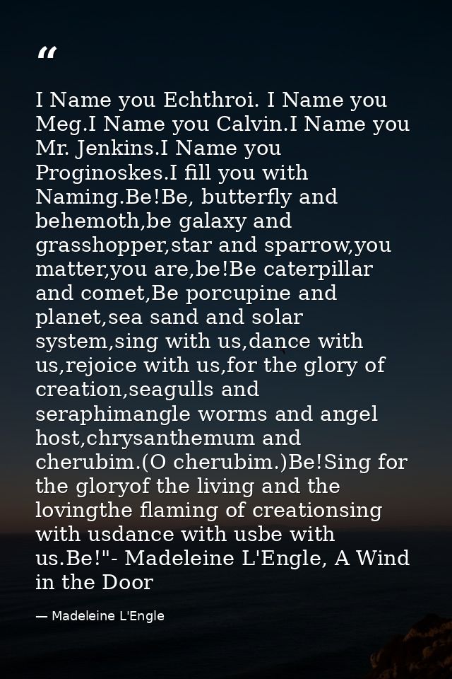 I Name you Echthroi. I Name you Meg.I Name you Calvin.I Name you Mr. Jenkins.I Name you Proginoskes.I fill you with Nami — Madeleine L'Engle