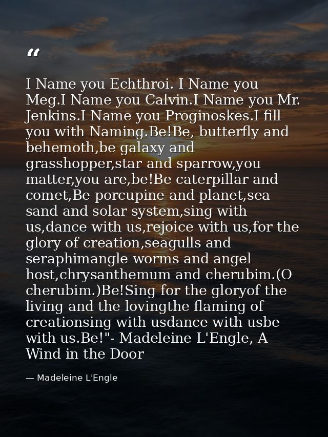 I Name you Echthroi. I Name you Meg.I Name you Calvin.I Name you Mr. Jenkins.I Name you Proginoskes.I fill you with Nami — Madeleine L'Engle