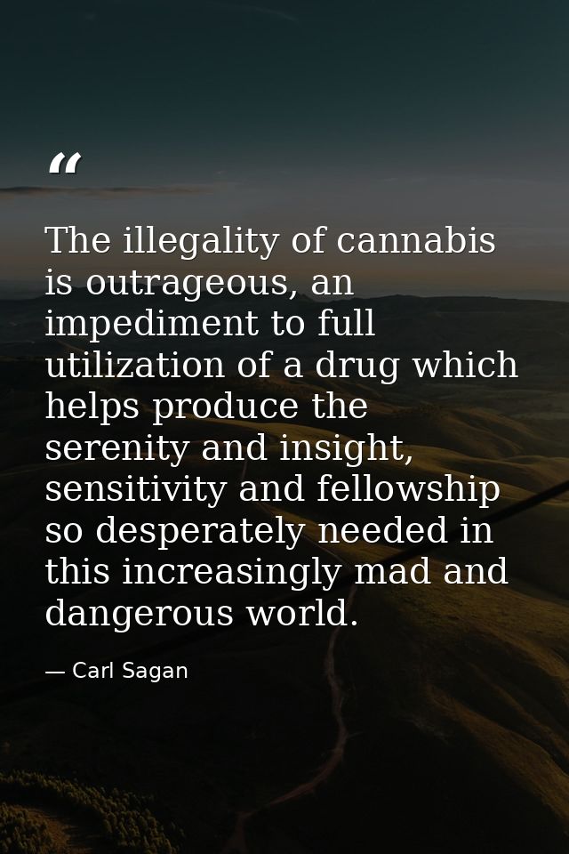 The illegality of cannabis is outrageous, an impediment to full utilization of a drug which helps produce the serenity a — Carl Sagan