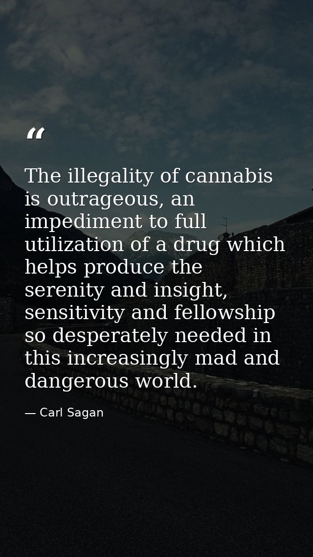 The illegality of cannabis is outrageous, an impediment to full utilization of a drug which helps produce the serenity a — Carl Sagan