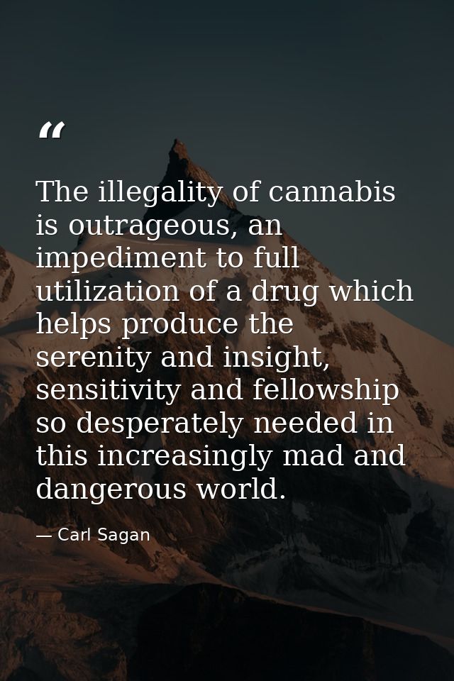 The illegality of cannabis is outrageous, an impediment to full utilization of a drug which helps produce the serenity a — Carl Sagan