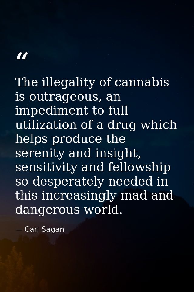 The illegality of cannabis is outrageous, an impediment to full utilization of a drug which helps produce the serenity a — Carl Sagan