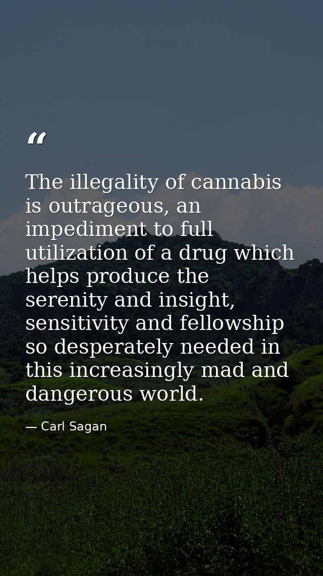 The illegality of cannabis is outrageous, an impediment to full utilization of a drug which helps produce the serenity a — Carl Sagan