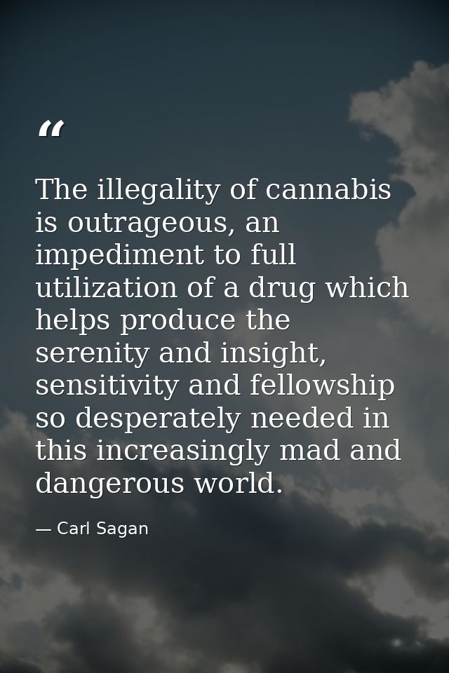 The illegality of cannabis is outrageous, an impediment to full utilization of a drug which helps produce the serenity a — Carl Sagan