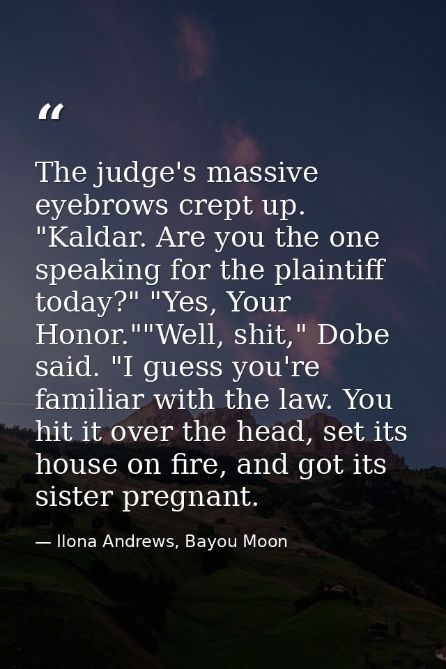 The judge's massive eyebrows crept up. "Kaldar. Are you the one speaking for the plaintiff today?" "Yes, Your Honor.""We — Ilona Andrews, Bayou Moon