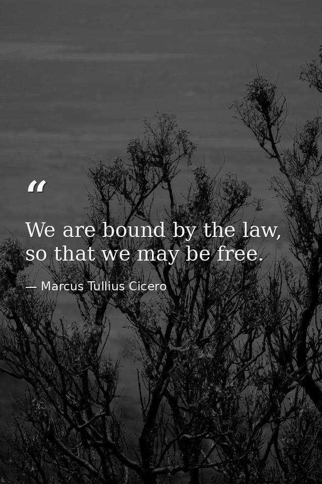 We are bound by the law, so that we may be free. — Marcus Tullius Cicero