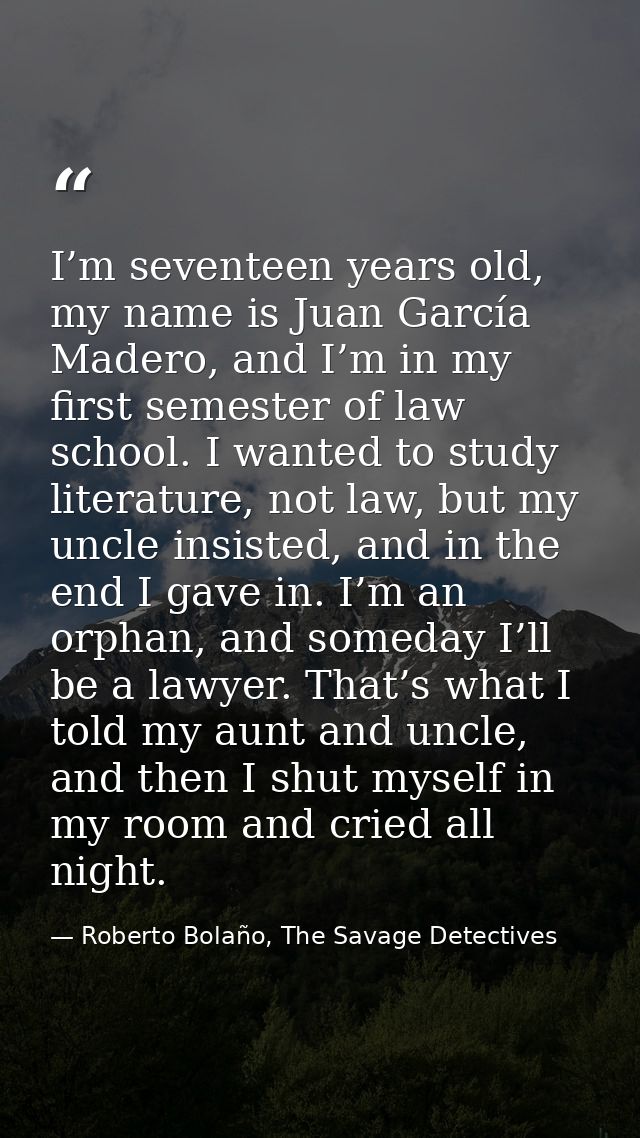 I’m seventeen years old, my name is Juan García Madero, and I’m in my first semester of law school. I wanted to study li — Roberto Bolaño, The Savage Detectives