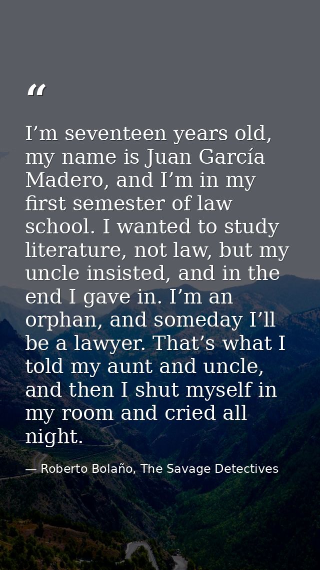 I’m seventeen years old, my name is Juan García Madero, and I’m in my first semester of law school. I wanted to study li — Roberto Bolaño, The Savage Detectives