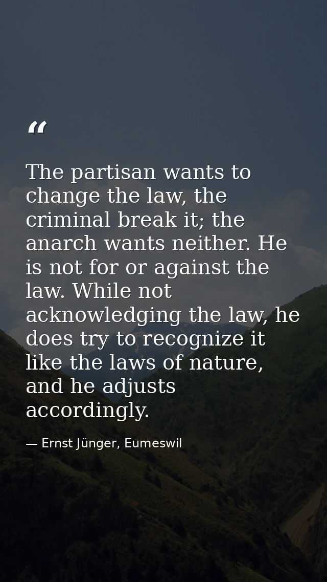 The partisan wants to change the law, the criminal break it; the anarch wants neither. He is not for or against the law. — Ernst Jünger, Eumeswil