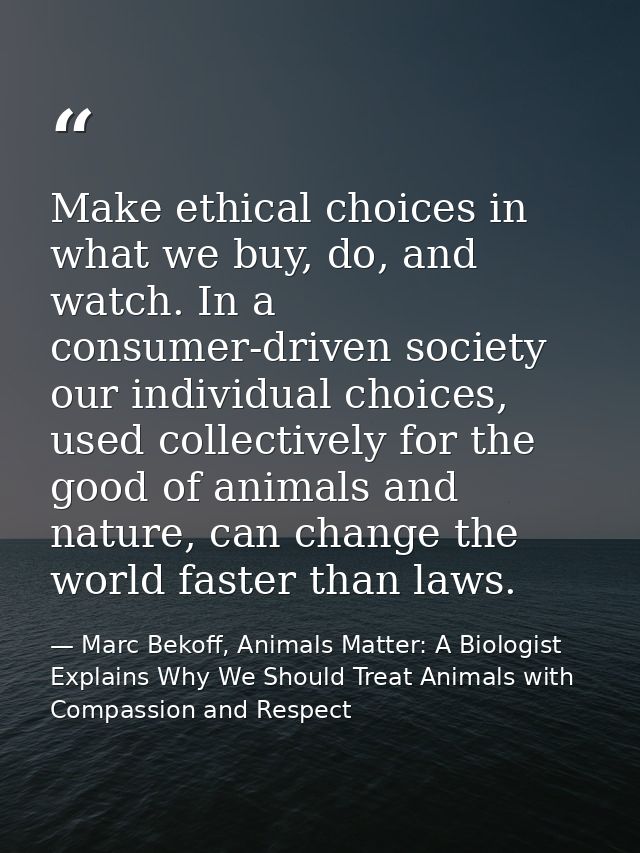 Make ethical choices in what we buy, do, and watch. In a consumer-driven society our individual choices, used collective — Marc Bekoff, Animals Matter: A Biologist Explains Why We Should Treat Animals with Compassion and Respect