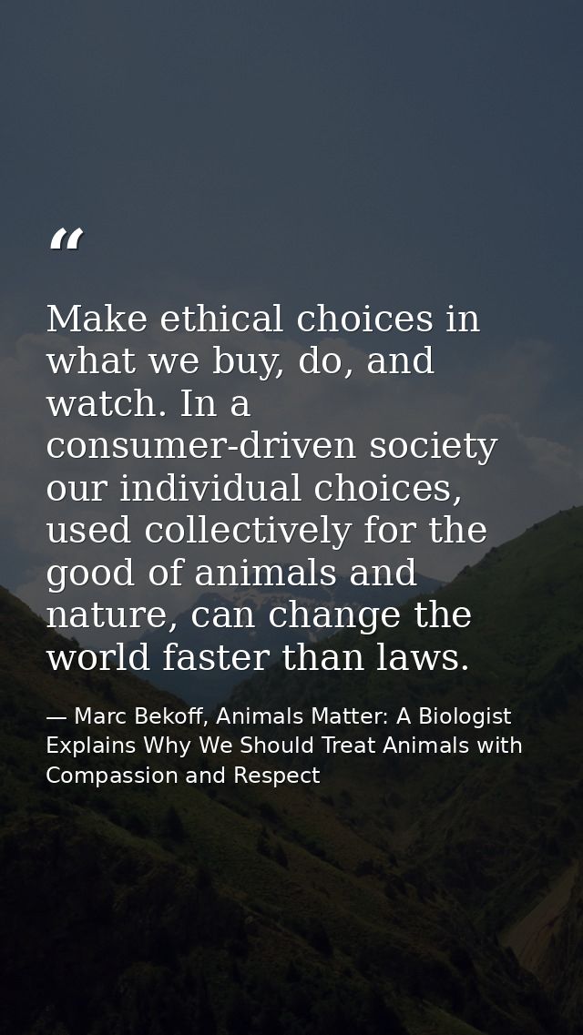 Make ethical choices in what we buy, do, and watch. In a consumer-driven society our individual choices, used collective — Marc Bekoff, Animals Matter: A Biologist Explains Why We Should Treat Animals with Compassion and Respect