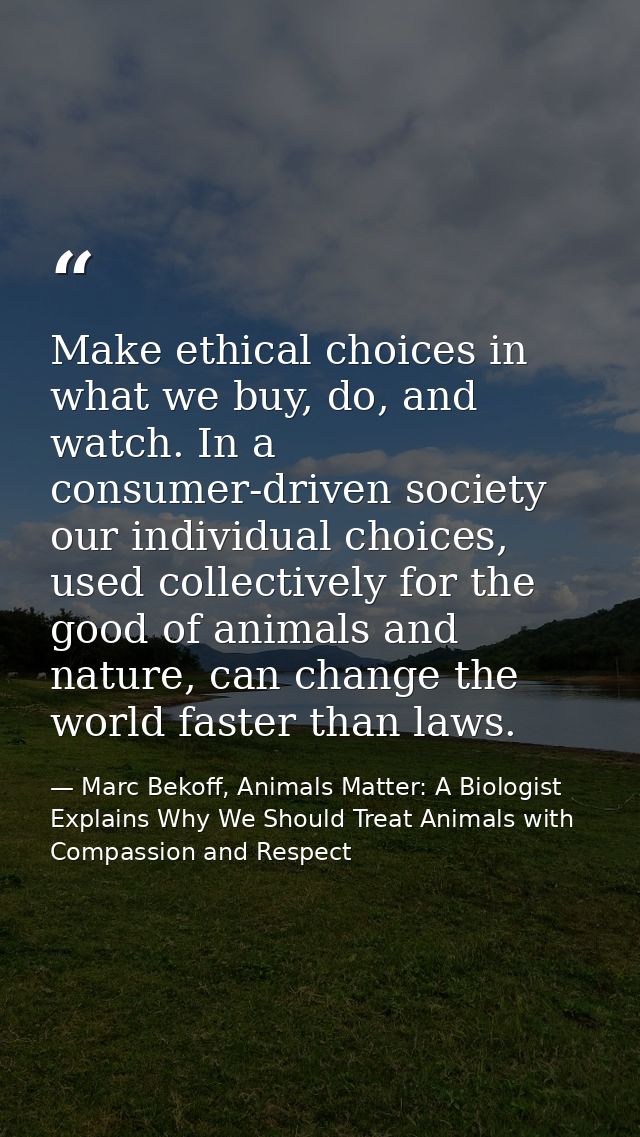 Make ethical choices in what we buy, do, and watch. In a consumer-driven society our individual choices, used collective — Marc Bekoff, Animals Matter: A Biologist Explains Why We Should Treat Animals with Compassion and Respect