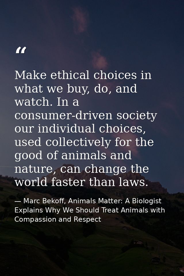 Make ethical choices in what we buy, do, and watch. In a consumer-driven society our individual choices, used collective — Marc Bekoff, Animals Matter: A Biologist Explains Why We Should Treat Animals with Compassion and Respect