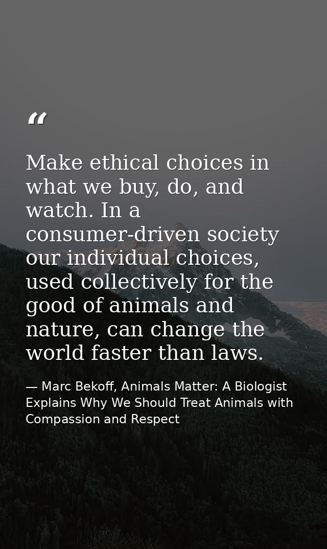 Make ethical choices in what we buy, do, and watch. In a consumer-driven society our individual choices, used collective — Marc Bekoff, Animals Matter: A Biologist Explains Why We Should Treat Animals with Compassion and Respect