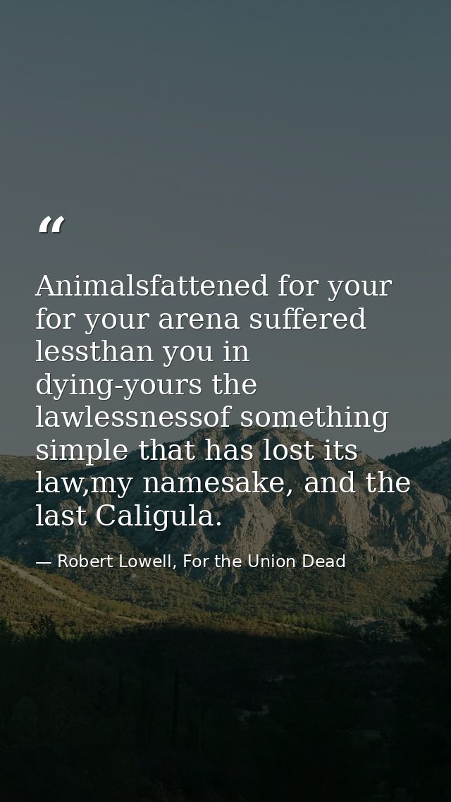 Animalsfattened for your for your arena suffered lessthan you in dying-yours the lawlessnessof something simple that has — Robert Lowell, For the Union Dead