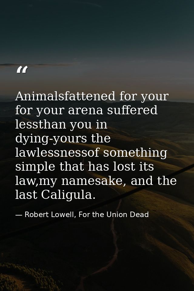 Animalsfattened for your for your arena suffered lessthan you in dying-yours the lawlessnessof something simple that has — Robert Lowell, For the Union Dead