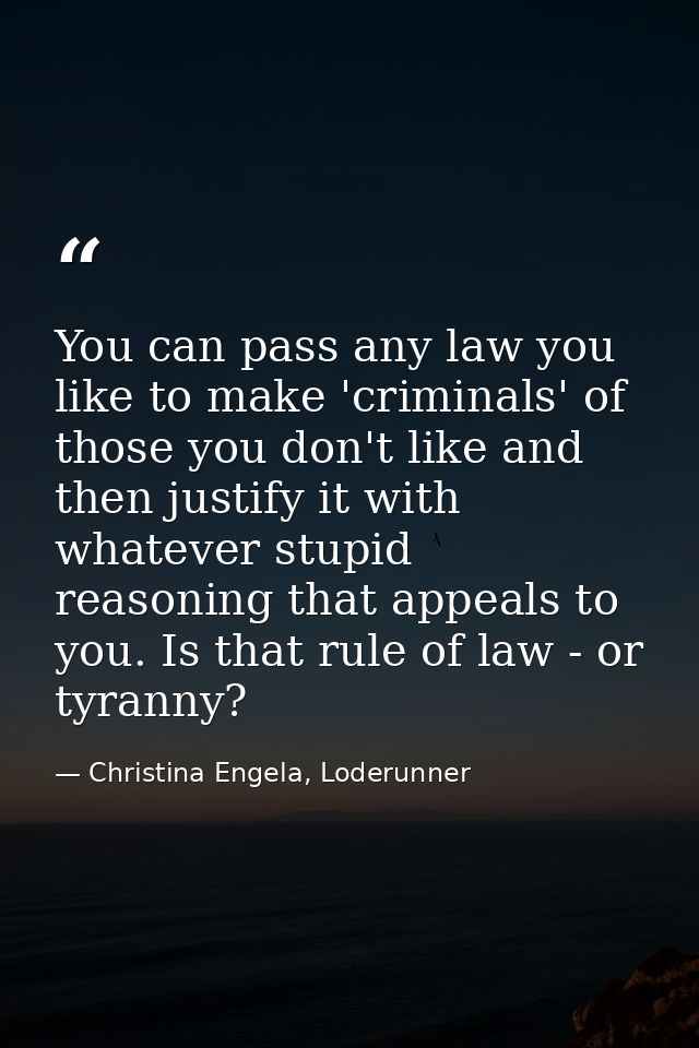 You can pass any law you like to make 'criminals' of those you don't like and then justify it with whatever stupid reaso — Christina Engela, Loderunner