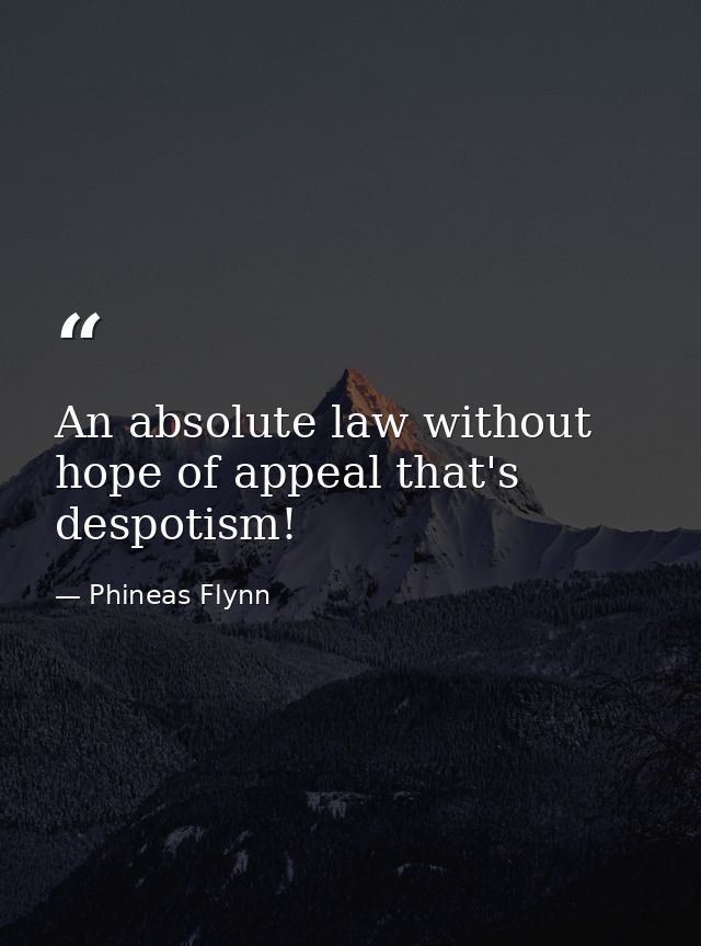 An absolute law without hope of appeal that's despotism! — Phineas Flynn