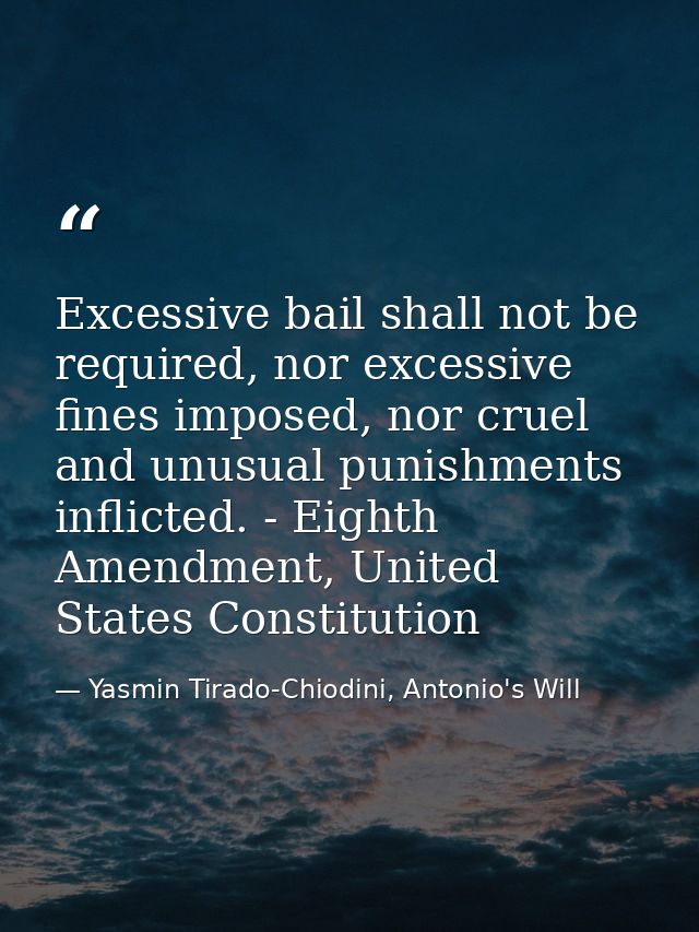 Excessive bail shall not be required, nor excessive fines imposed, nor cruel and unusual punishments inflicted. - Eighth — Yasmin Tirado-Chiodini, Antonio's Will