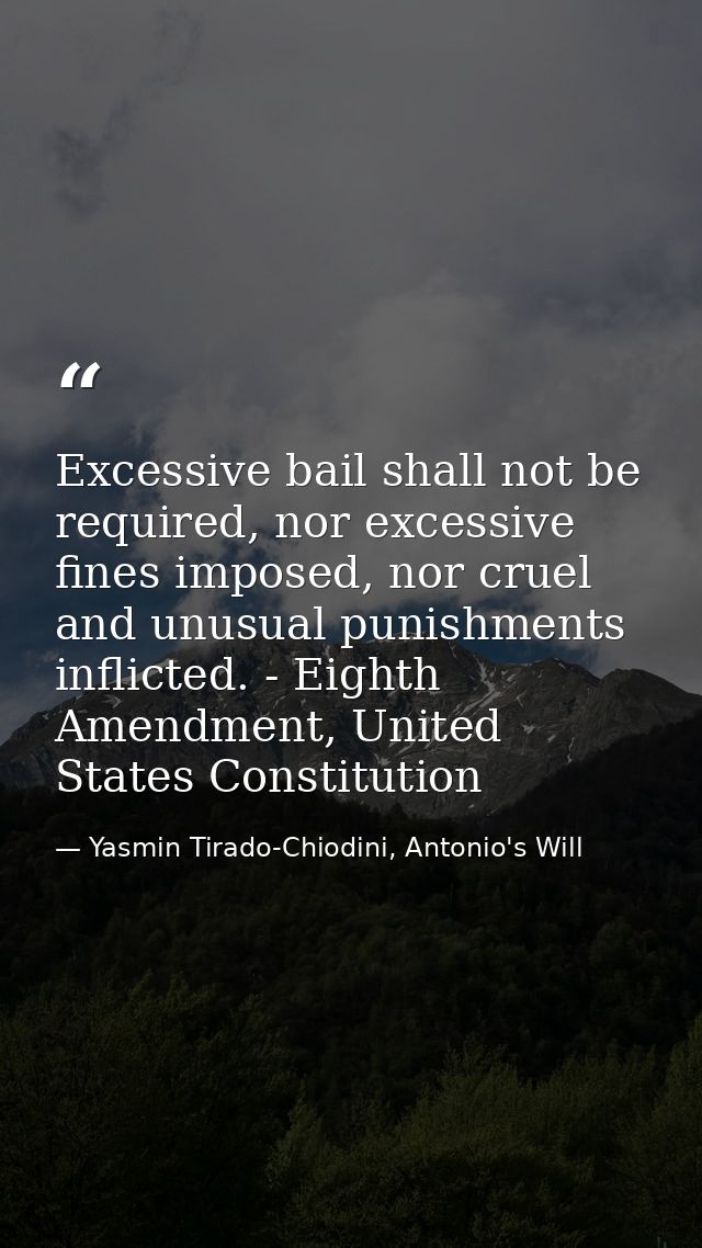 Excessive bail shall not be required, nor excessive fines imposed, nor cruel and unusual punishments inflicted. - Eighth — Yasmin Tirado-Chiodini, Antonio's Will
