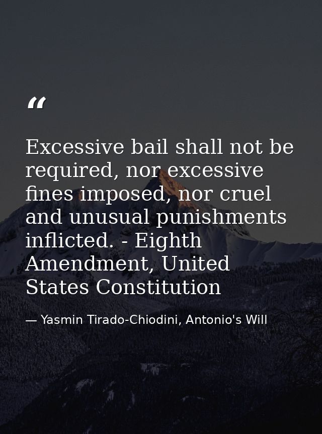 Excessive bail shall not be required, nor excessive fines imposed, nor cruel and unusual punishments inflicted. - Eighth — Yasmin Tirado-Chiodini, Antonio's Will